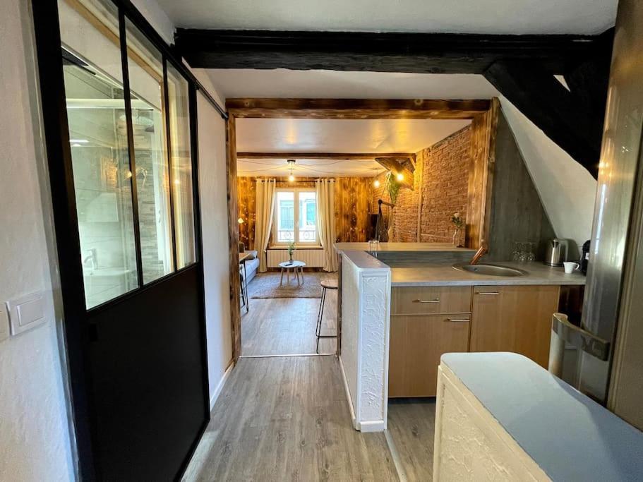 Apartmán Selestat Centre - L'Unique - 4 Pers - Cosy Exteriér fotografie